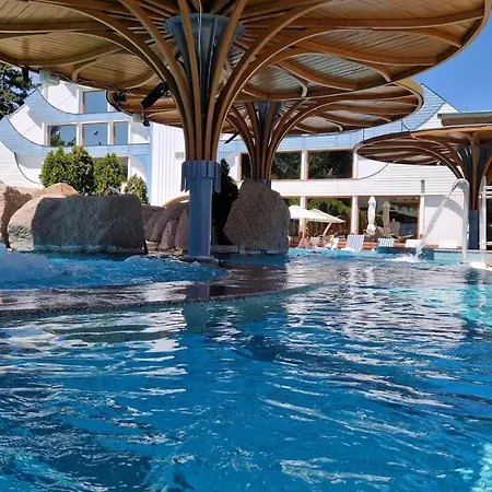 Carbona 101, 307 Hévíz