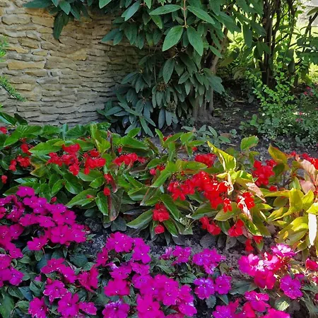 Carbona 101, 307 Daire